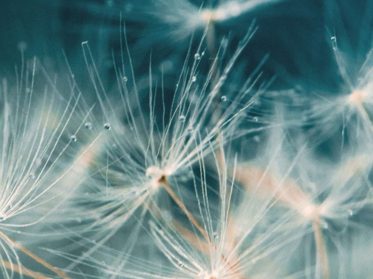 praktijk Spiegelpad in Ermelo, warme en rustige plek, HSP, hooggevoelig, sensitief,groeien, ontdekken en verkennen, samen groeien, jezelf zijn praktijk Spiegelpad, psychodynamisch, therapie, coaching, Ermelo, HSP test, hooggevoelig, sensitief, persoonlijke groei, rust, balans,kracht